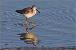 02_20120226_jrs_0762