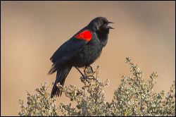 03_20120226_jrs_0781