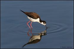 05_20120226_jrs_0785