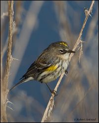 08_20120226_jrs_0821