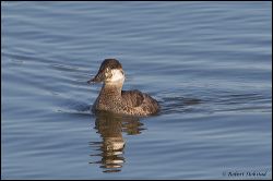09_20120226_jrs_0818