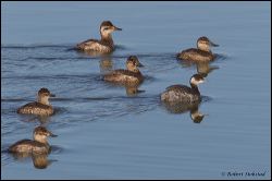 10_20120226_jrs_0838