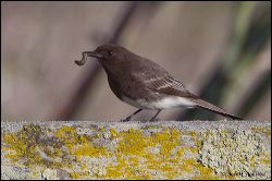 12_20120226_jrs_0856