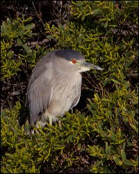 17_20120226_jrs_0896