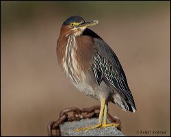 19_20120226_jrs_0922