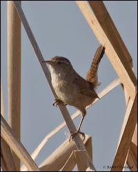 21_20120226_jrs_0942