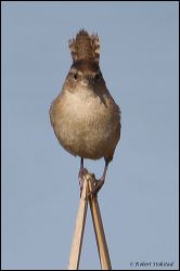 24_20120226_jrs_0977