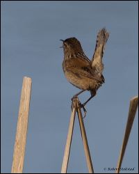 28_20120226_jrs_0972