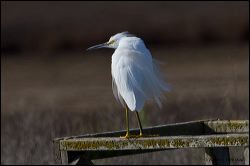 29_20120226_jrs_1000