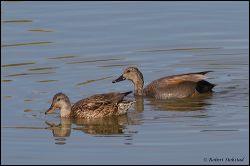 30_20120226_jrs_1015