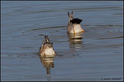 31_20120226_jrs_1008