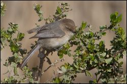 32_20120226_jrs_1026