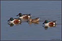 33_20120226_jrs_1031