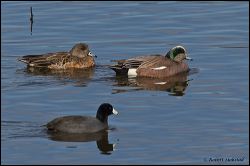 34_20120226_jrs_1046