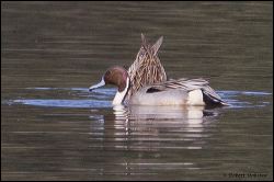 35_20120226_jrs_1074