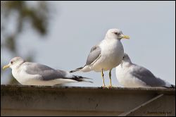36_20120226_jrs_1084