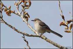 38_20120226_jrs_1100
