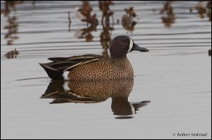 01_20120122_rgs_7900