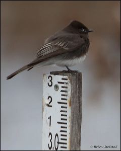 10_20120122_rgs_7907
