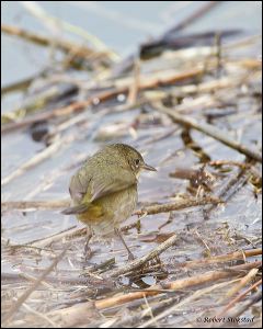 22_20120122_rgs_7951