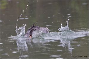 27_20120122_rgs_7961