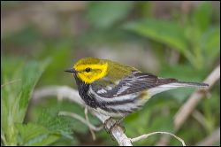 003-20140501_rgs_0024