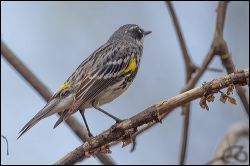 013-20140430_rgs_9703