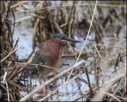 028-20140430_rgs_9759