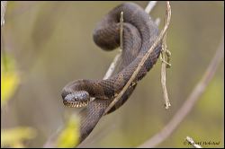 028-20120501_rgs_3032