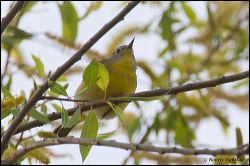 035-20120502_rgs_3099