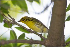 049-20120502_rgs_3191