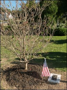 016-20130906_rgs_2609