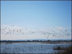 02_20120219_jrs_2345