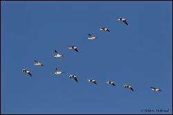 04_20120219_rgs_0150