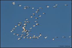05_20120219_rgs_0143