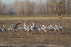 06_20120219_rgs_0214