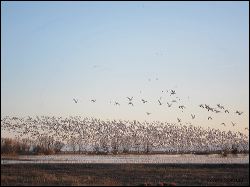 15_20120219_jrs_2356