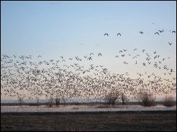 16_20120219_jrs_2357