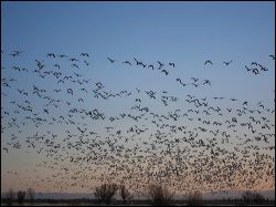 17_20120219_jrs_2358