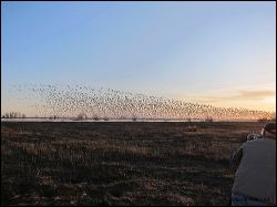 18_20120219_jrs_2360