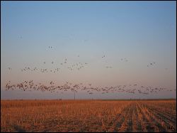 22_20120219_jrs_2363