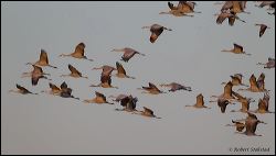 23_20120219_rgs_0317