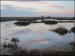 28_20120220_jrs_2369