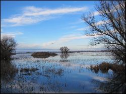 29_20120220_jrs_2379