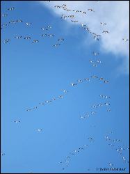 30_20120220_jrs_2402