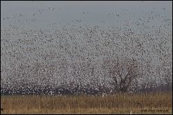 31_20120220_rgs_0466