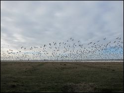 35_20120220_jrs_2410