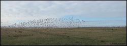 36_20120220_jrs_2411