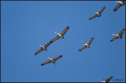 41_20120220_rgs_0628