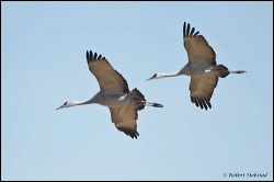 47_20120220_rgs_0700